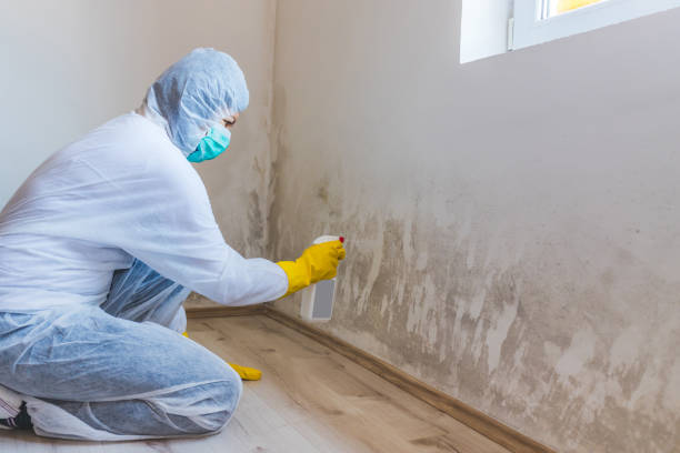 Hvac And Air Duct Mold Remediation inspection of HVAC system in Medina