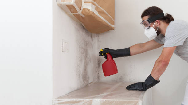 Attic Mold Remediation treatment on roof deck in Medina