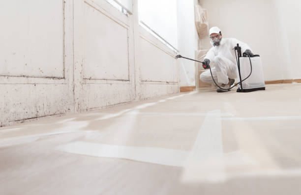 Black mold remediation team in Medina